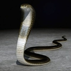 ♈ă • ULAR ! 2019 [BagasDwiguna_ ] Ft RamaMix_ & BangNiel_-Req_AdrianMix_=Exclusive_