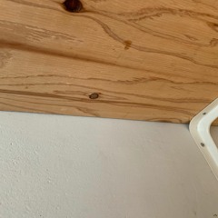 Yesterday(The Beatles cover)2019/4/28 Quinka, with a Yawn＋木之下