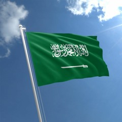 لقاء الدكتور محمد صالح مير عالم في الراديو بمناسبة قمة  العزم يجمعنا