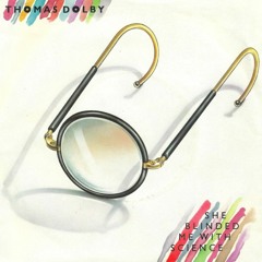 She Blinded Me With Science - Acoustic Cover