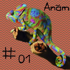 chameleon #01  Anām (अनाम)- Shiva Shakti