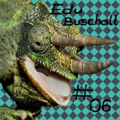 chameleon #06 - Edu.Buscholl - Path of Deceleration