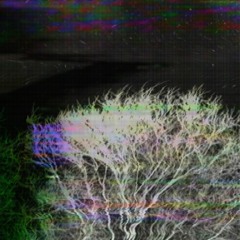 Не включай яркий свет