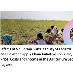Effects of Voluntary Sustainability Standards and Related Supply Chain Initiatives