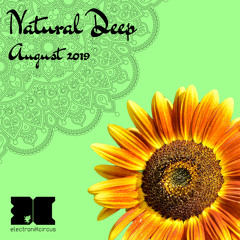 NaturalDeepAugust2019