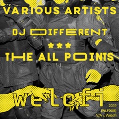 DJ DIFFERENT - The All Points