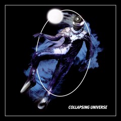 Cosmic Call - Collapsing Universe