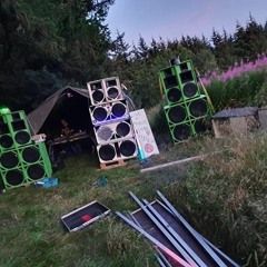 Wild acid things
