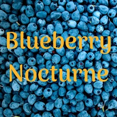 Blueberry Nocturne