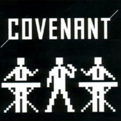 Covenant - We Stand Alone Remix