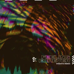 PLS&TY - Feeling Forever (Vindata Remix)