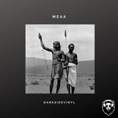 Darksidevinyl - MEAA