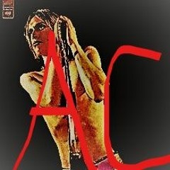 Search And Destroy(Iggy & The Stooges Cover)