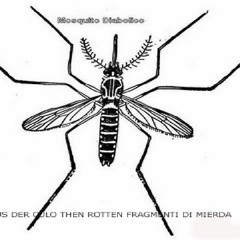 Mosquito Diabolico first recording (1748)