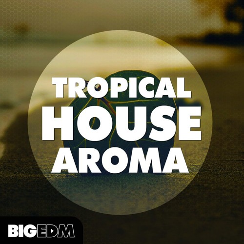 SAMPLE PACK: 300+ Kygo Style Melodies & Presets | Tropical House Aroma