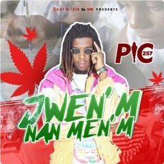 PIC257 - JWEN_M NAN MEN_M (OFFICIAL AUDIO).m4a