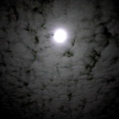 XANERATIONGANG - 24/7 (Prod. Dvtchie)