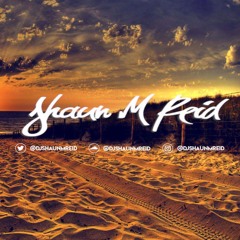 Shaun M Reid - Summer Mix 2019