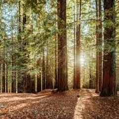 3 Seconds... Before Dying - Cicatrices (Demo 2019)