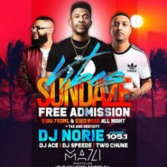 VIBES SUNDAZE 8-4-2019