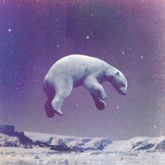 Flying Polar Bear