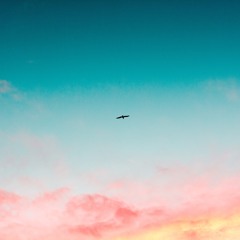 Tidefall x Onlook - Homeward