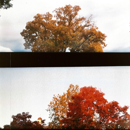 if i cleaned everything would you come back_variations on a theme