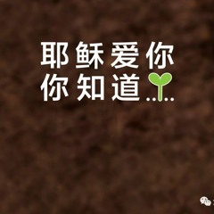 08/04/2019【耶稣爱你，你知道？】如何传福音？——见证篇——王唯权牧师