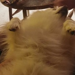 piece of me (ruff demo)