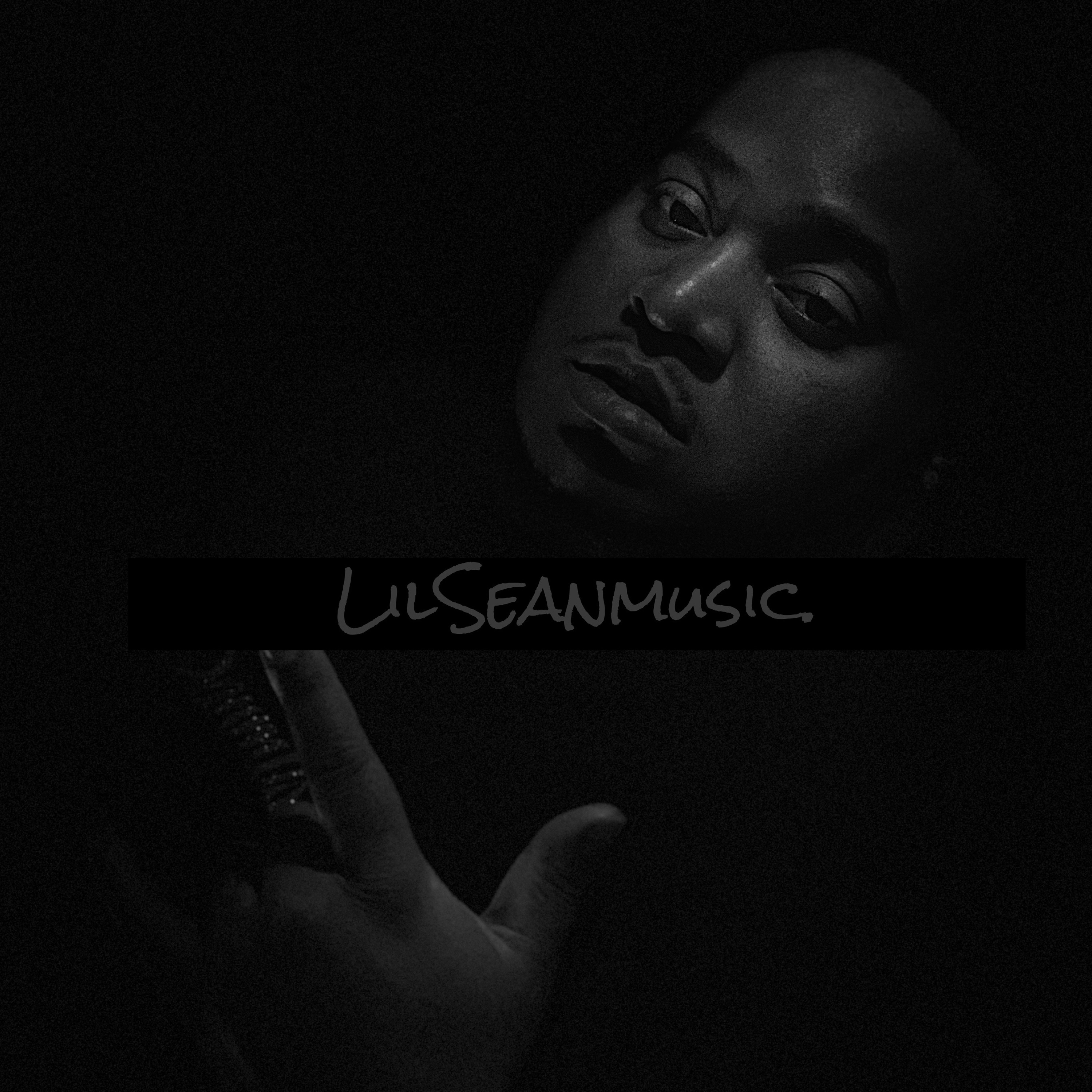 LilSeanmusic