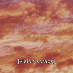 Vision Scraps