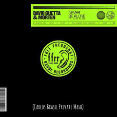 Allan Natal Ft. David Guetta, Morten & Aloe Blacc - Never Be Alone (Carlos Brasil Private Mash) PREV