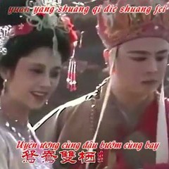 Tình Nhi Nữ Remix