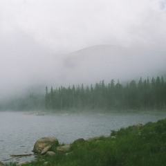 Midnight Sessions Vol. 5 -  Curated by Cicada (Hybrid)