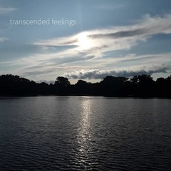 Transcended feelings