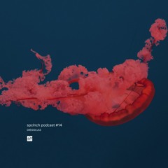 spclnch podcast #14 / DIEGOLUIZ