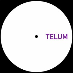 TELUM 005 - Unknown Artist - Untitled B1