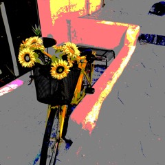 çoktular ama hiç yoktular