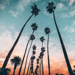 Twofourtyrose X Type X kamoteh - Palm Trees