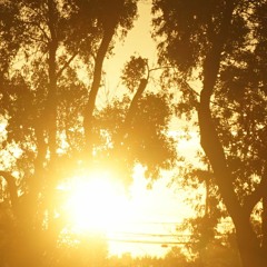 Sunrise (Instrumental)