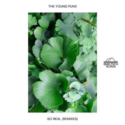 The Young Punx - So Real (The Tribe Of Good Mix)