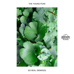 The Young Punx - So Real (Mike Mago Remix)