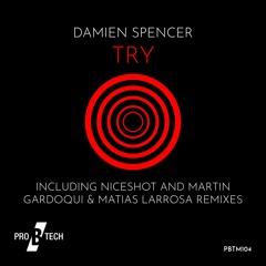 Damien Spencer - Try (Niceshot Remix)