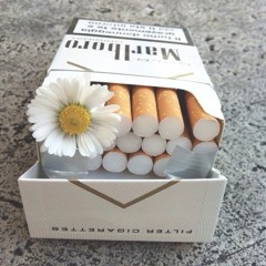 Marlboro