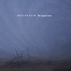 Dallas Acid - The Spiral Arm (Edit)
