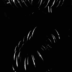 Post-Shift 2 OST - Haunted Remnants - Rjac25