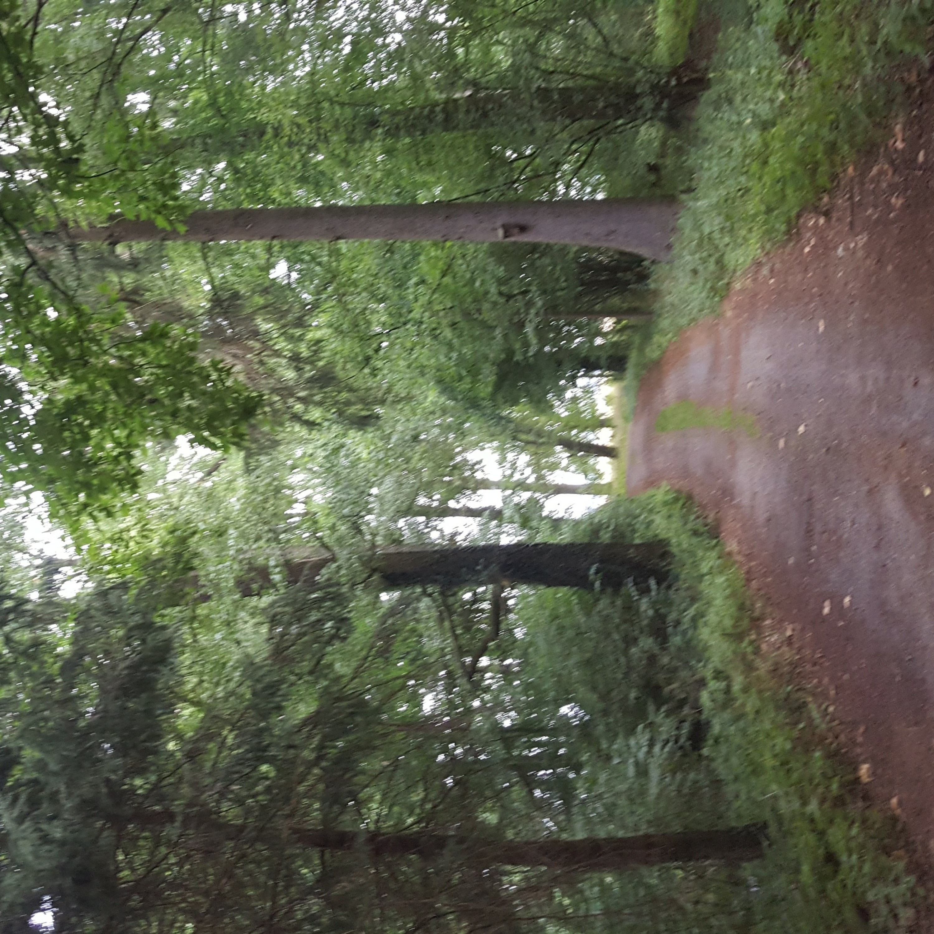 Quellklang Meditation thumbnail