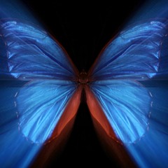 蝴蝶效應 Butterfly Effect