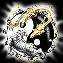 金龙,银虎 Gold Dragon, Silver Tiger mememix (Brainer b2b KreteK)