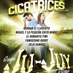 Cicatrices LIMPIA 2019 - Grupo Ju-Juy